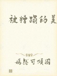 被糟蹋的美人封面