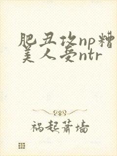 肥丑攻np糟蹋美人受ntr封面