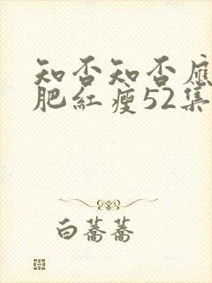 知否知否应是绿肥红瘦52集在线观看