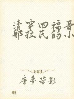 清穿四福晋乌拉那拉氏的小说