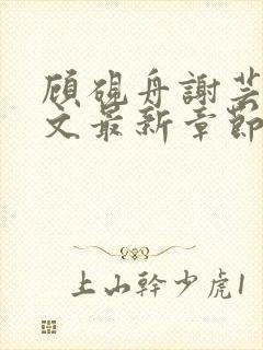 顾砚舟谢芸琛全文最新章节免费阅读