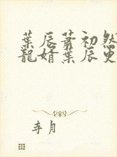 叶辰萧初然上门龙婿叶辰更新