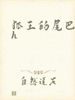 狐王的尾巴高ah