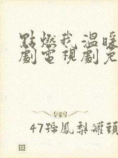 点燃我温暖你追剧电视剧免费观看封面