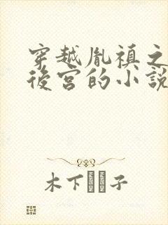 穿越胤禛之极品后宫的小说免费阅读