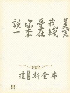 说你爱我美剧第一季在线完整观看