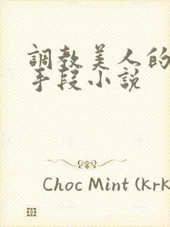 调教美人的百种手段小说