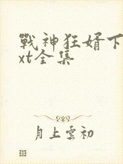 战神狂婿下载txt全集封面