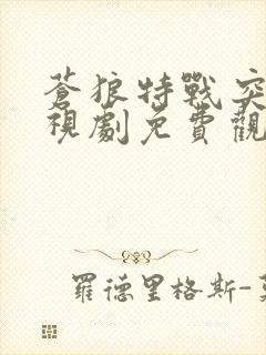 苍狼特战突击电视剧免费观看