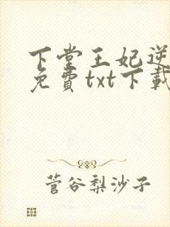 下堂王妃逆袭记免费txt下载