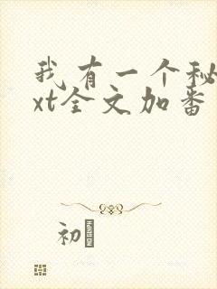 我有一个秘密txt全文加番外