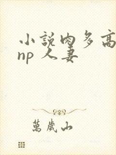 小说肉多高h np 人妻