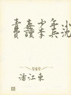 青春少年小说免费读李兵沈思封面