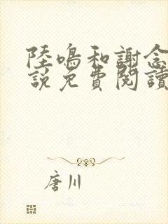 陆鸣和谢念卿小说免费阅读封面