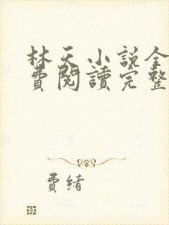 林天小说全文免费阅读完整