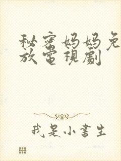 秘密妈妈免费播放电视剧封面