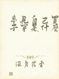 梦见自己买新鞋子穿是什么意思封面