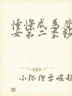 憧憬成为魔法少女第二季动漫封面