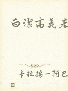 白洁高义老七