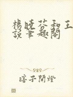 杨晓芬和王磊小说笔趣阁封面