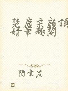 楚尘宋颜镇国神婿笔趣阁