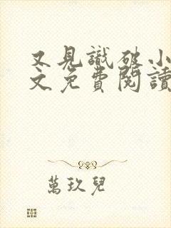 又见识破小说全文免费阅读封面