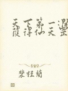 天下第一:开局获得仙天罡气