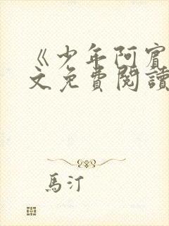 《少年阿宾》全文免费阅读