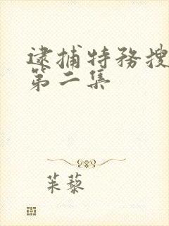 逮捕特务搜查官第二集