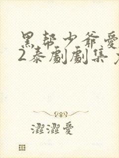 黑帮少爷爱上我2泰剧剧集免费观看封面