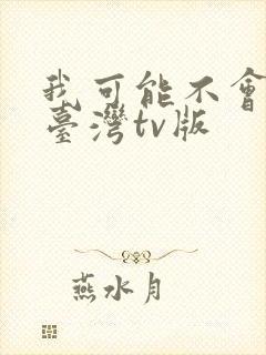 我可能不会爱你台湾tv版封面