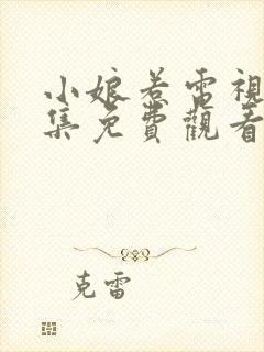 小娘惹电视剧全集免费观看