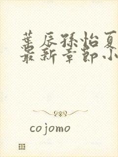 叶辰孙怡夏若雪最新章节小说封面