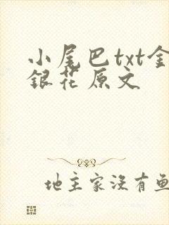 小尾巴txt金银花原文
