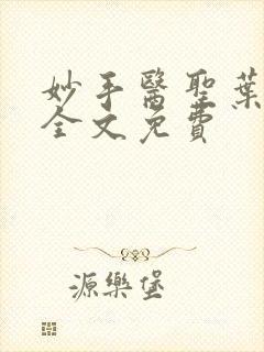 妙手医圣叶皓轩全文免费封面