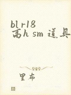 bl r18 高h sm 道具 文