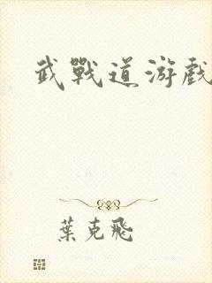 武战道游戏