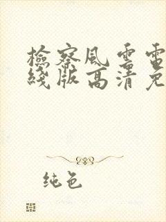 检察风云电影在线版高清免费观看