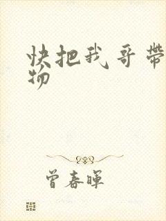 快把我哥带走人物