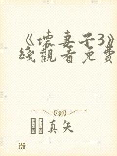 《坏妻子3》在线观看免费版电视剧中封面