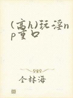 (高h)玩淫np重口封面