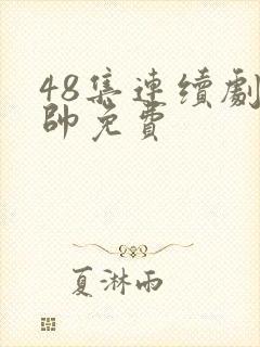 48集连续剧少帅免费