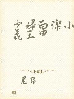 少妇白洁小说高义王申