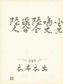 陆瑶陆鸣小说主人公全文免费阅读笔趣阁封面