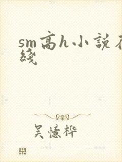 sm高h小说在线