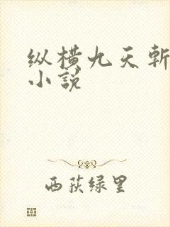 纵横九天斩神诀小说