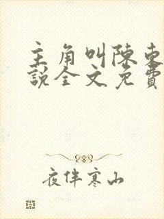 主角叫陈东的小说全文免费阅读