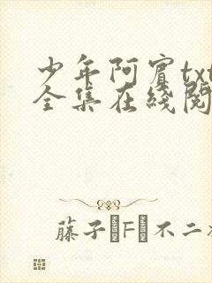 少年阿宾txt全集在线阅读