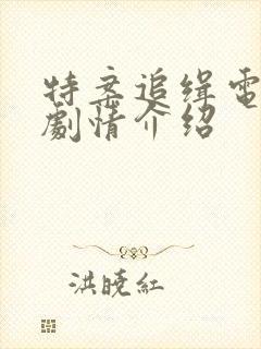 特案追缉电视剧剧情介绍封面