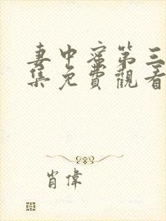 妻中蜜第三季全集免费观看